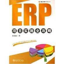 ERP项目实施全攻略