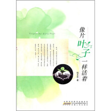 像片叶子一样活着