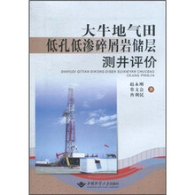 大牛地气田低孔低渗碎屑岩储层测井评价