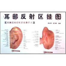 耳部反射区挂图