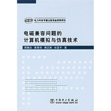 电磁兼容问题的计算机模拟与仿真技术(附光盘)