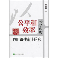 以公平和效率为导向的政府管理审计研究