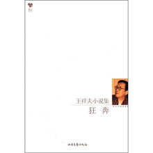王祥夫小说集:狂奔