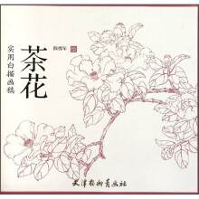 实用白描画稿：茶花