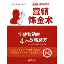 营销炼金术：突破营销的4大战略魔方