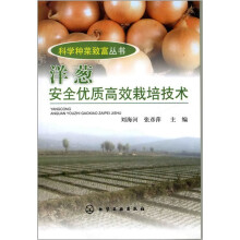 洋葱安全优质高效栽培技术