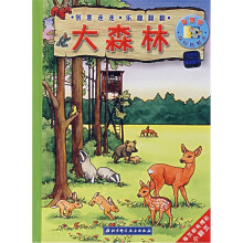 智慧窗百科翻翻书：大森林