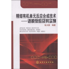 精细有机单元反应合成技术：还原反应及其实例