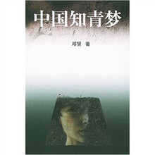 中国知青梦