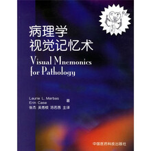 病理学的视觉记忆术