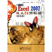 Excel 2007中文版从入门到精通(普及版)