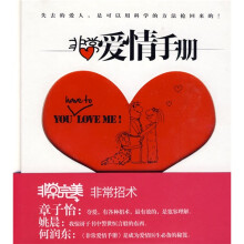 非常爱情手册