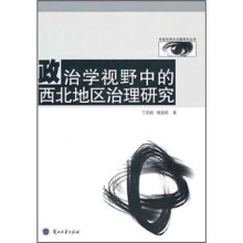政治学视野中的西北地区治理研究
