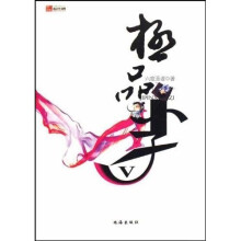 极品小子5