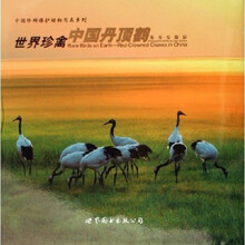 世界珍禽：中国丹顶鹤