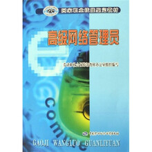 高级网络管理员