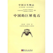 中国的巨犀化石