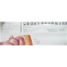 女性泌尿生殖系统解剖学挂图（总3张）