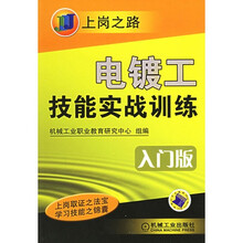 电镀工技能实战训练（入门版）（第2版）