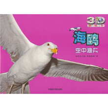 海鸥:空中渔夫