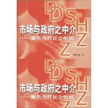 市场与政府之中介：聚焦当代社会组织