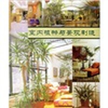 室内植物与景观制造
