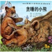 跟随小动物的足迹：贪睡的小熊