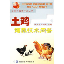 土鸡饲养技术问答