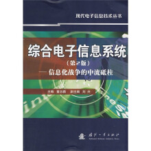 综合电子信息系统：信息化战争的中流砥柱（第2版）