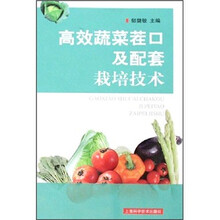 高效蔬菜茬口及配套栽培技术