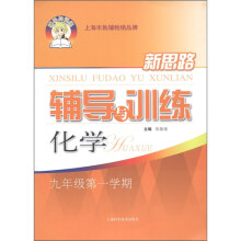 新思路辅导与训练：化学（9年级）（第1学期）