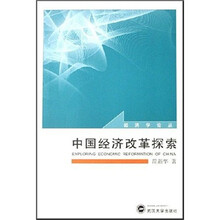 中国经济改革探索