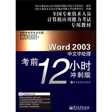 全国专业技术人员计算机应用能力考试专用教材：Word2003中文字处理考前12小时（冲刺版）（CD-ROM光盘）