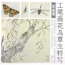 工笔画花鸟草虫特写：草虫卷