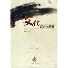 文化适应与传播