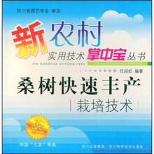 桑树快速丰产栽培技术