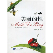 美丽的性
