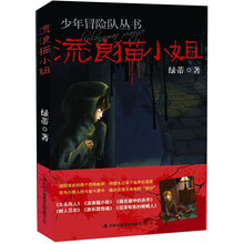少年冒险队丛书：流浪猫小姐