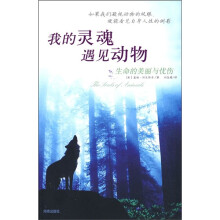 我的灵魂遇见动物:生命的美丽与忧伤