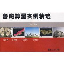 鲁班算量实例精选（附光盘1张）