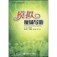 模拟现场导游