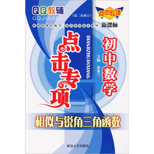点击专项·初中数学：相似与锐角三角函数（第2次修订）