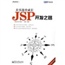 在实战中成长：JSP开发之路