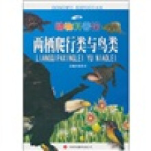 动物科普馆:两栖爬行类与鸟类