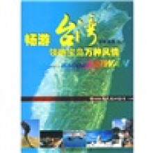 畅游台湾:领略宝岛万种风情