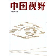 中国视野