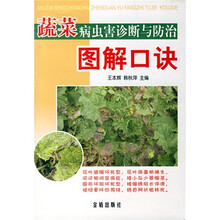 蔬菜病虫害诊断与防治图解口诀