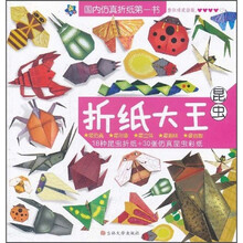 折纸大王:昆虫