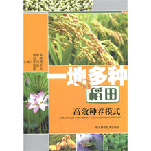 一地多种稻田高效种植模式