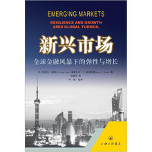 新兴市场：全球金融风暴下的弹性与增长